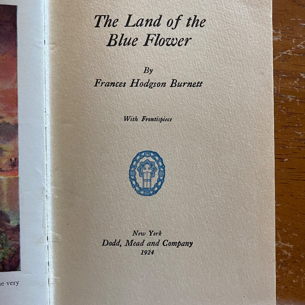 Dodd Mead Blue Cloth Embossed Hardcover Book Vintage 1924 Coffee Table - Picture 5 of 16